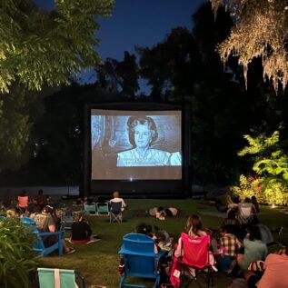 Enzian Lawn as lit by Orlando Outdoor Lighting